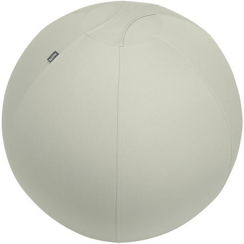 Leitz - Ballon d'assise ergonomique 75cm - Gris clair - Télétravail & Confort