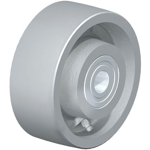 Roue En Fonte G 127_20k