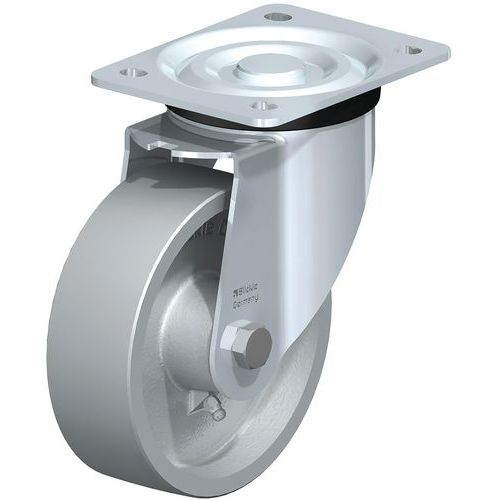 Roue En Fonte L-g 150g