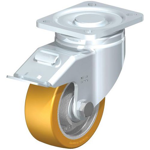 Roue Polyuréthane Extrathane Lh-gth 100k-1-fi