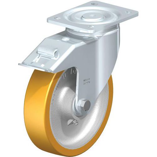 Roue Polyuréthane Extrathane Lh-gth 200k-fi