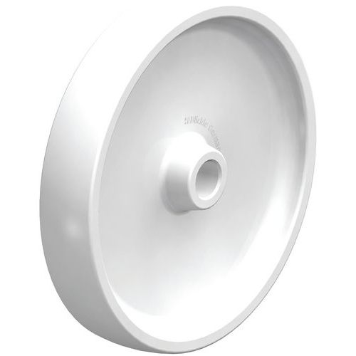 Roue En Polyamide Po 300_30g