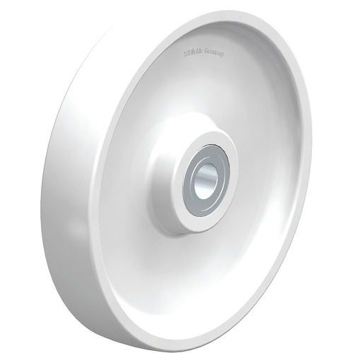Roue En Polyamide Po 300_30k