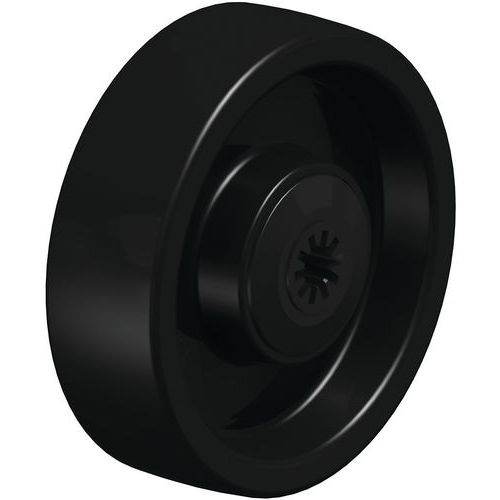 Roue En Polyamide Poa 100_8k