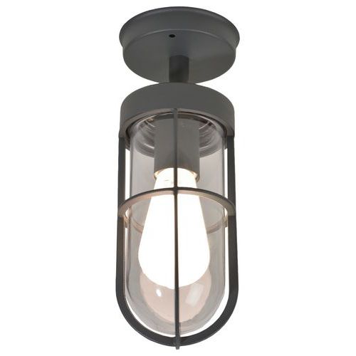 Plafonnier En Acier Inoxydable Globe En Verre Transparent Anthracite