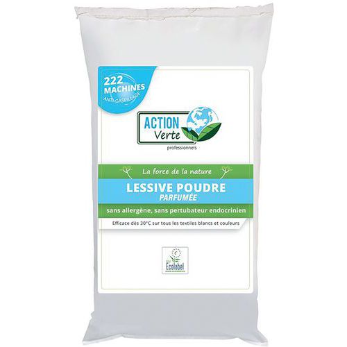 Action Verte Lessive Poudre - 222 Lavages