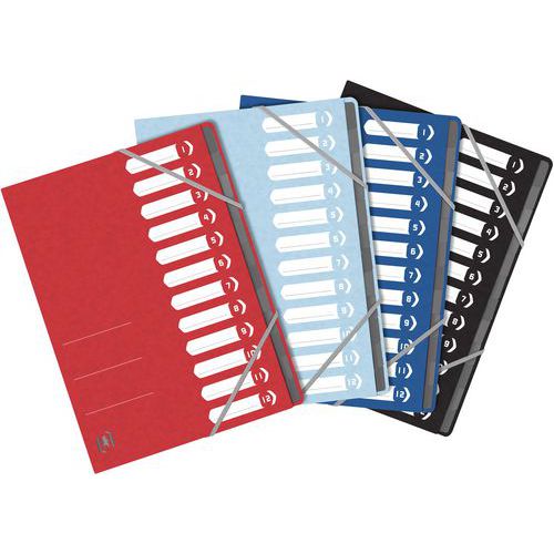 Trieur Agrafé Oxford Topfile+ A4 12 Positions - Assorti