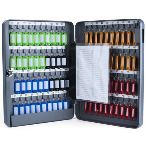 Pavo - Armoire à clés - Gris mat - 80 clés - Acier - Sécurité et Organisation