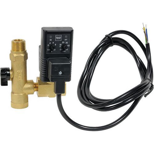 Electrovanne De Purge Temporisée