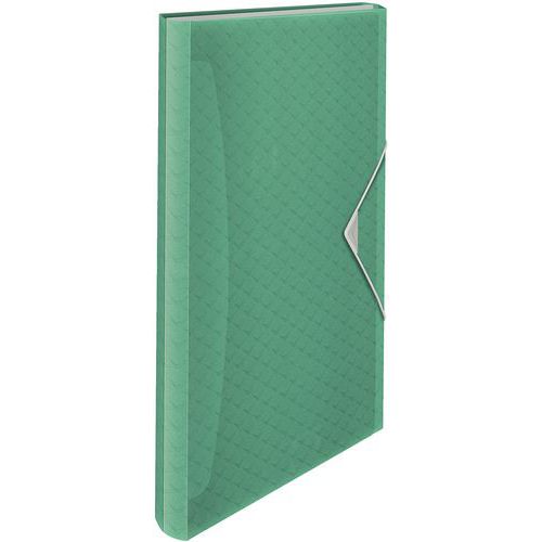 Classeur Ménager Colour'ice - 6 Onglets Vert - Esselte