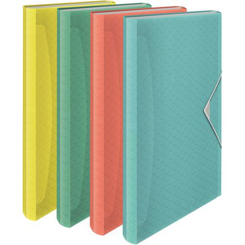 Classeur Ménager Colour'ice - 6 Onglets Assorti - Esselte