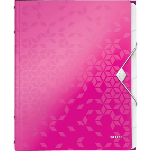 Trieur 6 Touches - Rose - Wow - Leitz