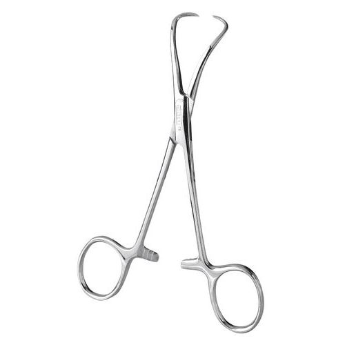 Pince à Champs Backhauss 12 Cm