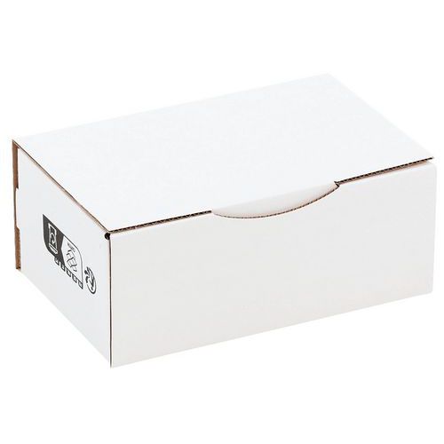 Boîte Postale 250x150x100mm Blanc - Carton Recyclé 90% - Éco-responsable