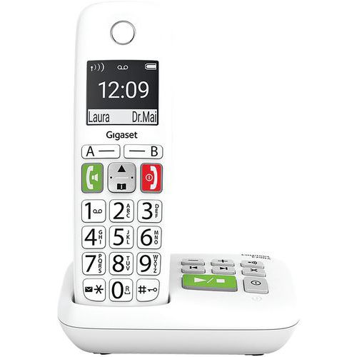Téléphones Sans Fil E290a Blanc