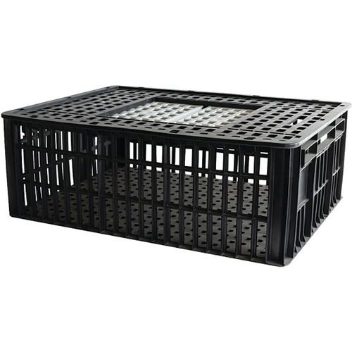 Cage À Volailles 2 Portes-800x600x280mm-105 L