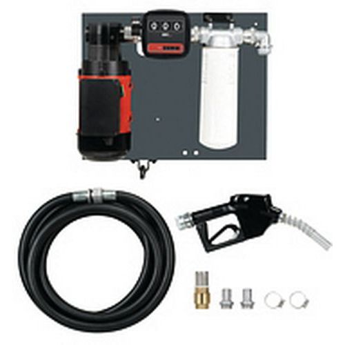 Pompe Palettes Avec Filtre à Pistolet Automatique 100 L/min-230 V - 6m