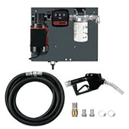 Pompe Palettes Avec Filtre à Pistolet Automatique 60 L/min-230 V - 6m