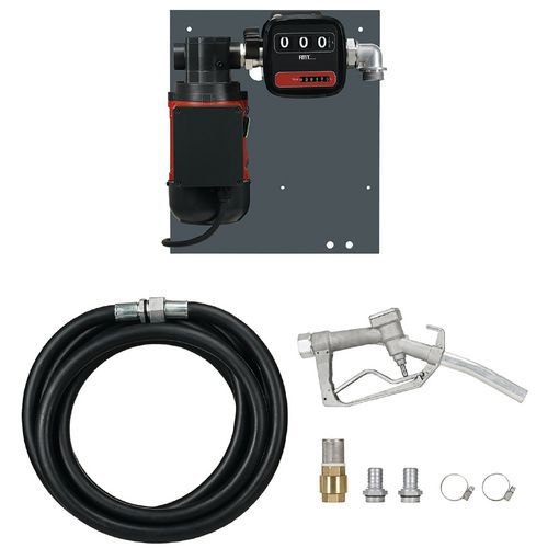 Pompe à Palettes à Pistolet Manuel Aluminium 60 L/min-230 V - 4m