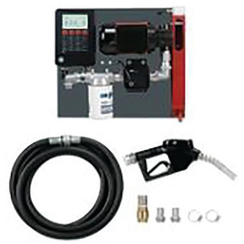 Pompe à Palette Avec Filtre à Pistolet Automatique 60 L/min-230 V - 4m