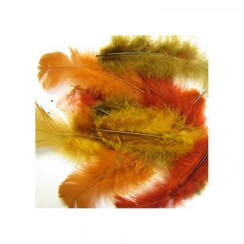 Sachet 150 plumes assorties couleurs de l'automne thumbnail image 1