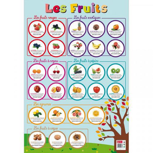 Poster Les fruits thumbnail image 1