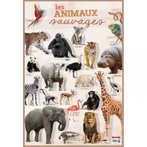 Poster Les animaux sauvages thumbnail image 1