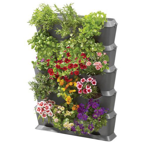 Kit Mur Végétal Avec Arrosage Intégré