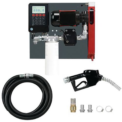 Pompe à Palettes à Pistolet Automatique 100 L/min-230 V - 6m