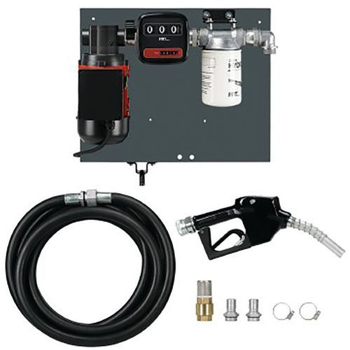 Pompe Palettes Avec Filtre À Pistolet Automatique 60 L/min-230 V - 8m