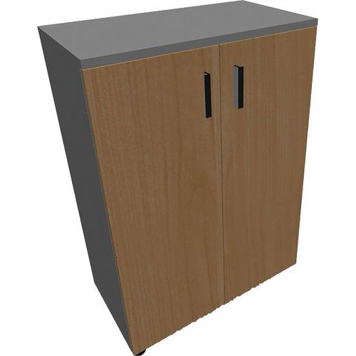 Armoire 2 Portes Battantes L800xh1135xp432mm Alu/hêtre