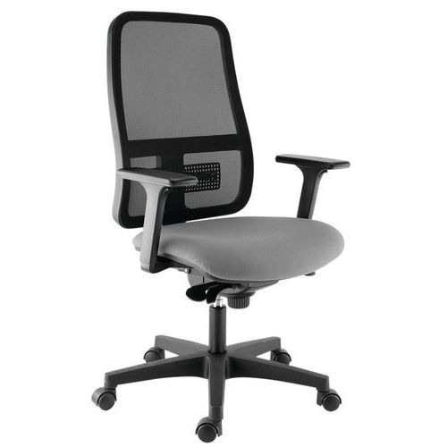 Siège De Bureau Ergonomique Accoudoirs 3d Buz Gris