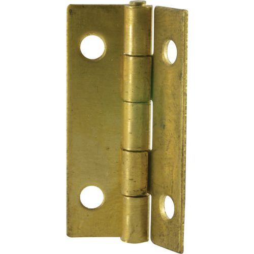 Cime - Charnière Rectangulaire Acier 35x22mm - Quincaillerie Recyclable