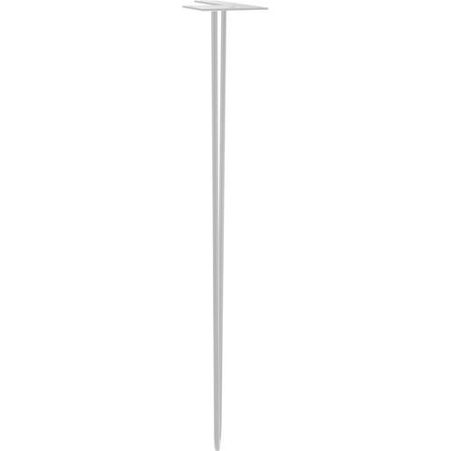 Pied filaire blanc - Cime Pied filaire blanc - Cime