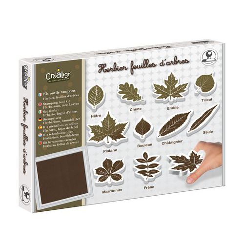 Kit de 10 tampons feuilles herbier + 1 encreur thumbnail image 1
