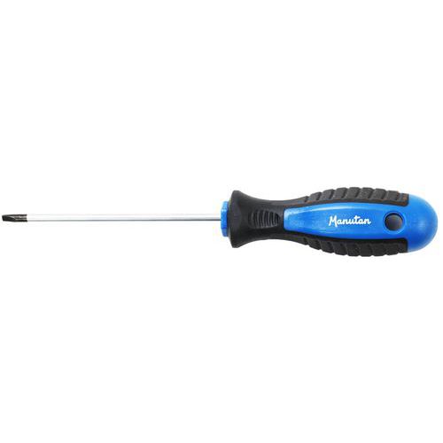 Manutan Expert - Tournevis Fente 4mm - Lame Acier Ronde - Poignée Bimatière Ergonomique - 173mm