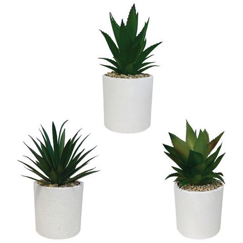 Lot de 3 - Plantes Succulentes Artificielles Pot Conique Blanc