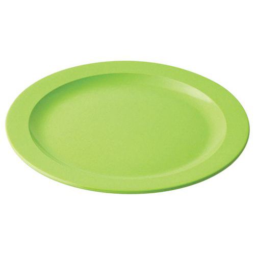 Assiettes Plates Ø 225 Cm Mélamine - Verte